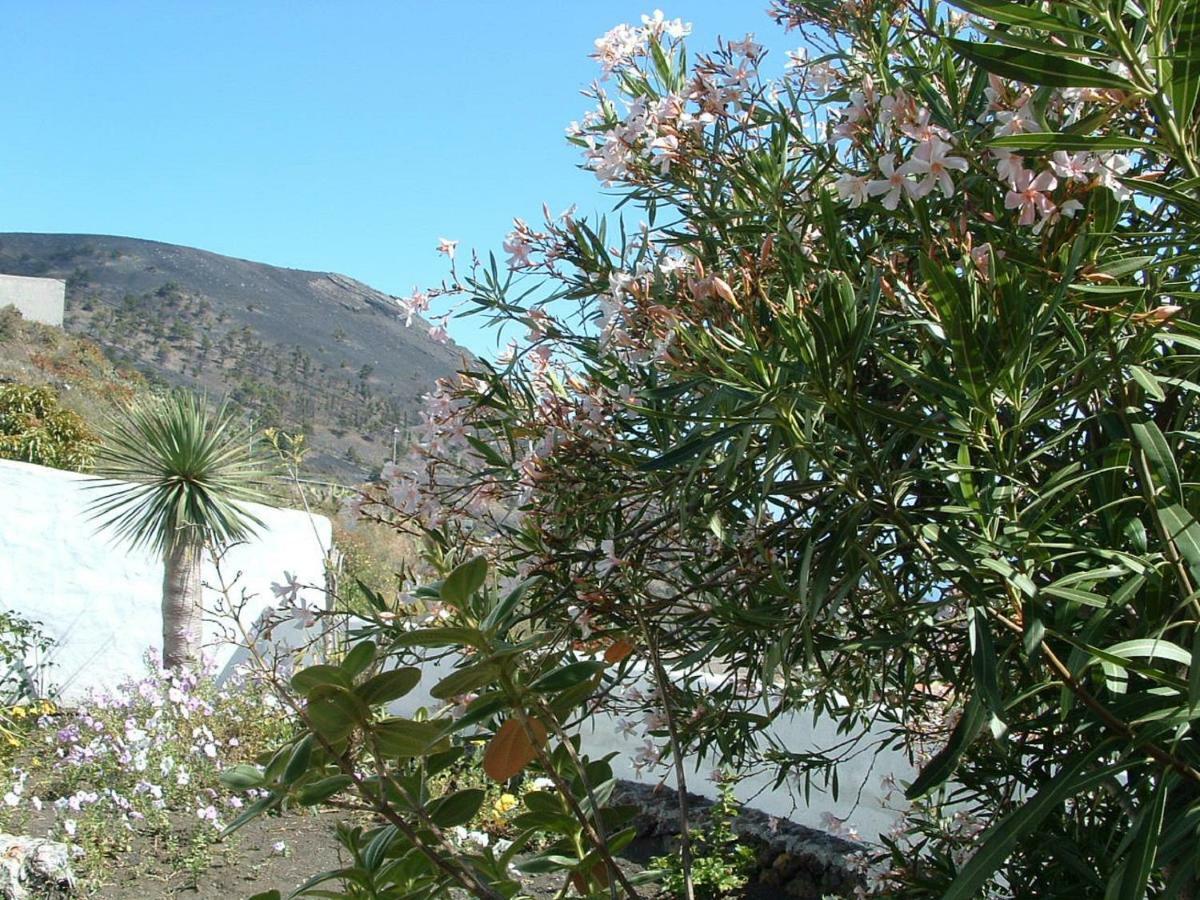 Casa Los Vinedos B ฟูเอนกาลิเอนเต เด ลา ปาลมา ภายนอก รูปภาพ